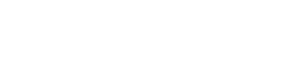 White wordmark